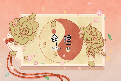 万年历日历表 万年历黄历老黄历 万年历2026日历表